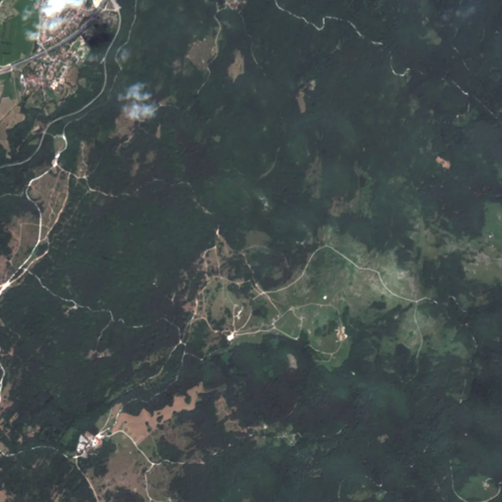 Sentinel-2 input over the Poček area at 10 meters per pixel